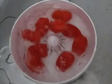 Cyclone vegetable and fruit washer for sink