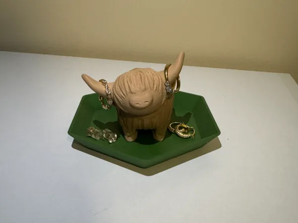 https://makerworld.bblmw.com/makerworld/model/US87768cfcc99e18/design/2026-01-10_26365dbe73ebb.jpeg