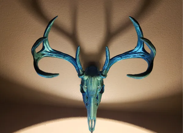 https://makerworld.bblmw.com/makerworld/model/US8776dddf82bfd4/design/2024-12-26_2f5f9cbdafebd.jpg