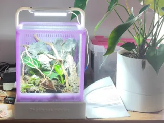 terrarium ~20*20*20 auto arrosage par capillarité