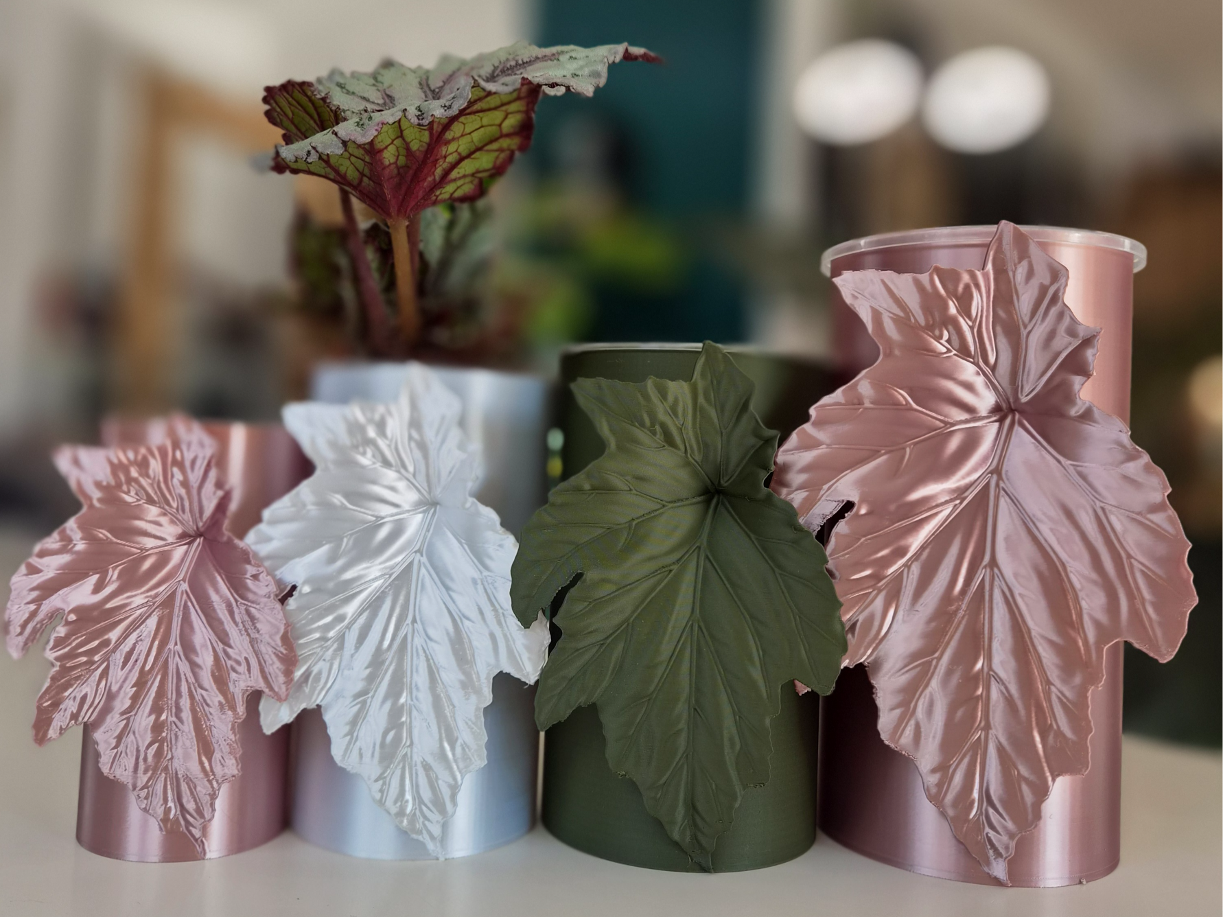 Begonie Lamoon Self Watering Planter - 1