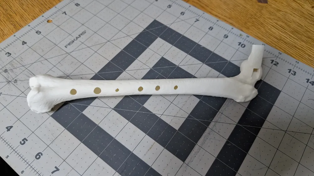 Bone Key Log Bone Whistle - Key of D - Free 3D Print Model - MakerWorld