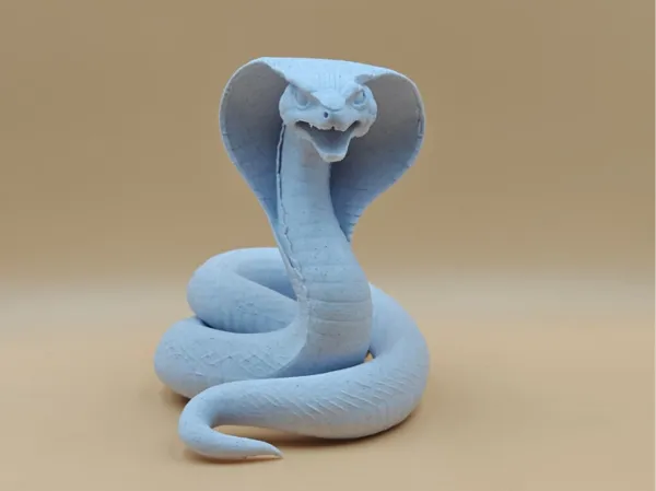 https://makerworld.bblmw.com/makerworld/model/US879ceea94a42dd/design/2025-08-29_c6b99643104e68.jpg