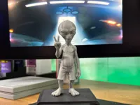 0.2mm layer, 3 walls, 15% infill