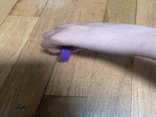 Satisfying Spinning Disk / Euler's Disk