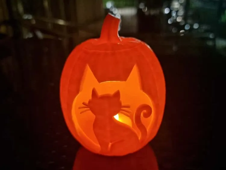 Pumpkin Cat cut