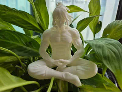 Martial Arts Decorative Figure [Qi Training] 中国武术