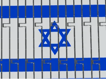 flexi isreal flag