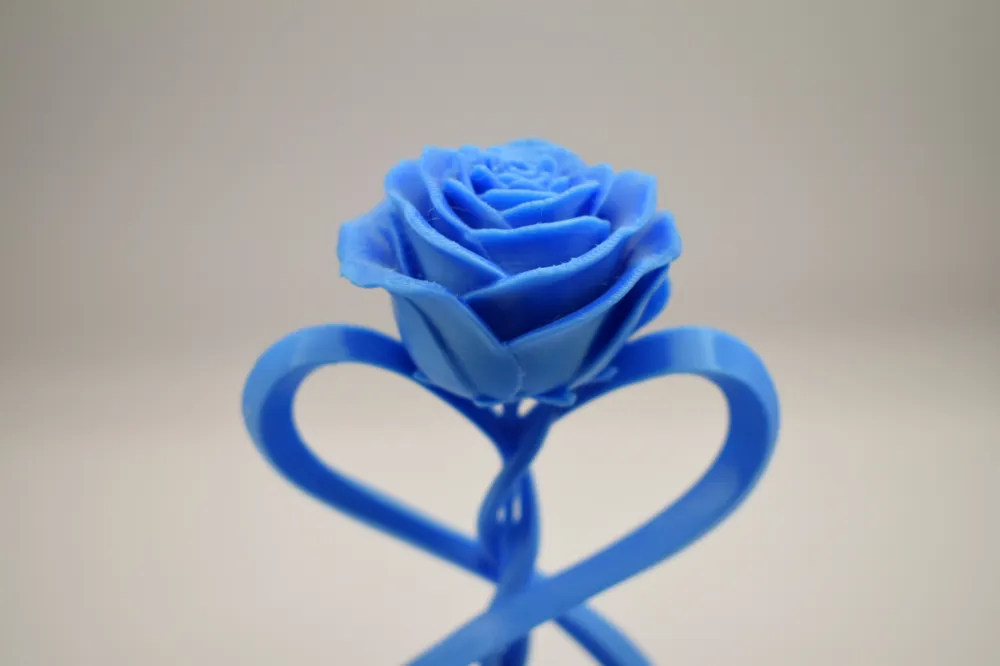 Rose of Infinity - Free 3D Print Model - MakerWorld