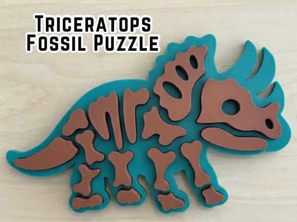 https://makerworld.bblmw.com/makerworld/model/US87b48859d143c4/design/96d1be84a9d0acc3.png