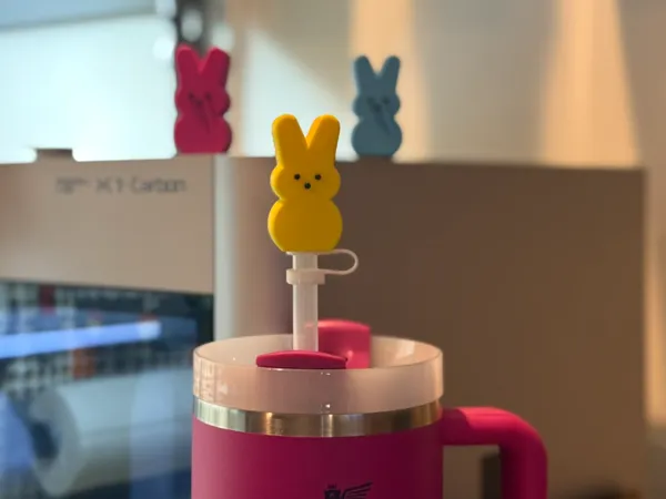 https://makerworld.bblmw.com/makerworld/model/US87b5bb7a39d6b0/design/2025-01-27_cf33d8b64840b.jpeg