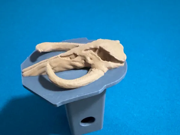 https://makerworld.bblmw.com/makerworld/model/US87b895fb08c868/design/2024-12-29_08e2efffeeff38.jpg