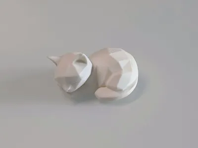Sleeping Cat