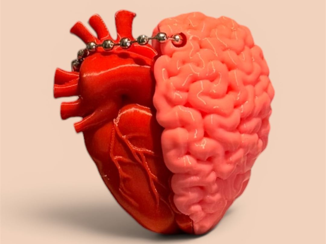 Portachiavi Cuore Cervello