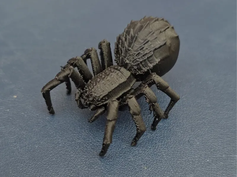 DnD spider