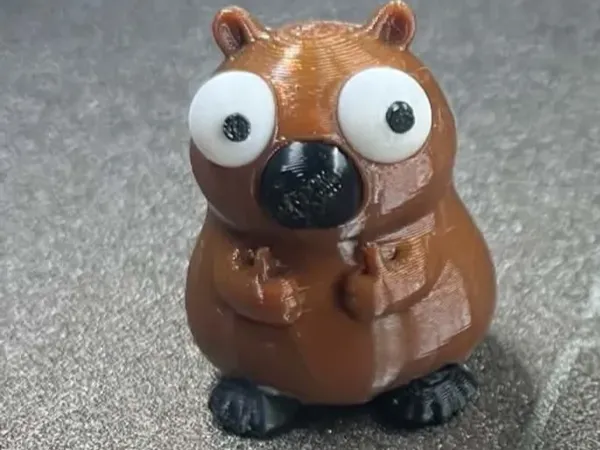 Wobbly Eyed Capybara no ams