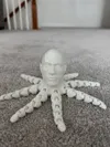 Small rocktopus