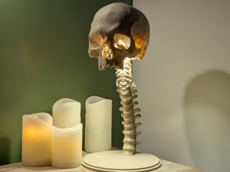 LED Kit 001 - Skull Spine Lamp - 40cm