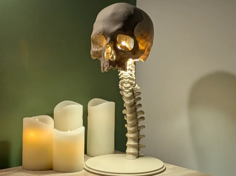 LED Kit 001 - Skull Spine Lamp - 40cm