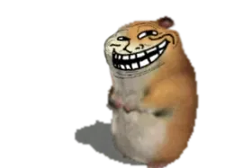 troll face chomik