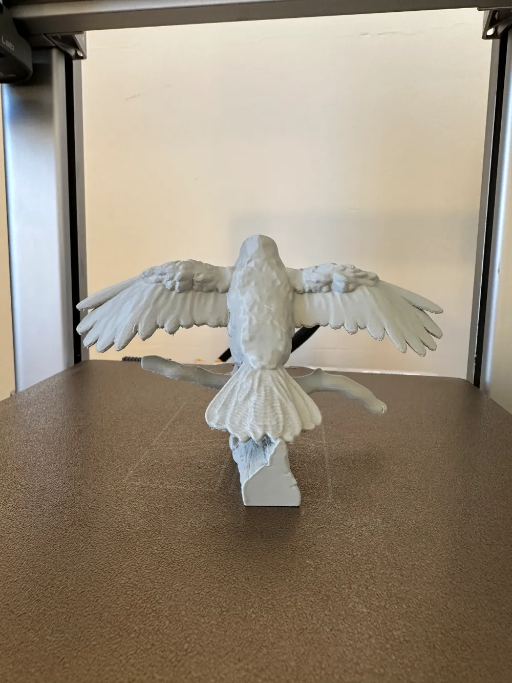 Bird with open wings by 3D Fun MakerWorld: Download Free 3D Models