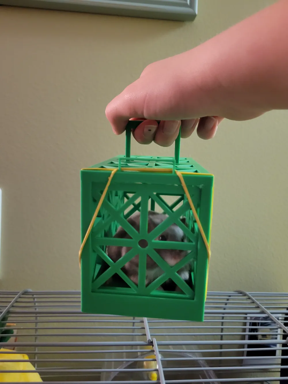Hamster Carry cage by IronmanIsaac MakerWorld: Download Free 3D Models - Three Dimensional Hamster Cage Models