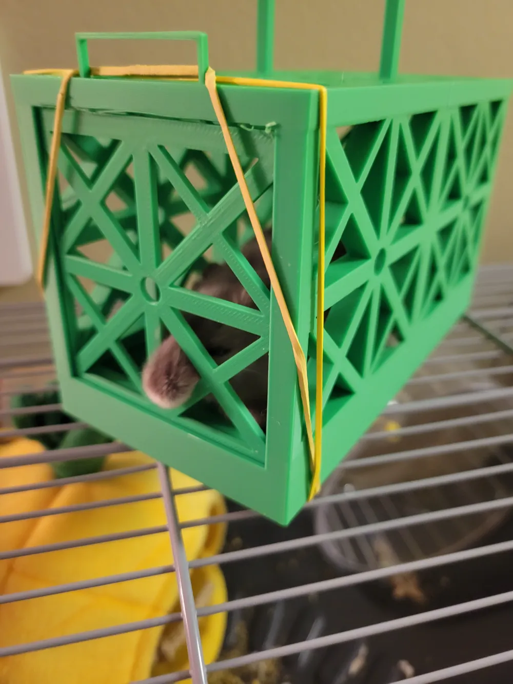 Hamster Carry cage by IronmanIsaac MakerWorld: Download Free 3D Models - Three Dimensional Hamster Cage Models