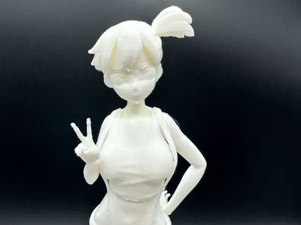 https://makerworld.bblmw.com/makerworld/model/US87d1d5789f3d75/design/2025-02-23_eafb30f953a58.jpg