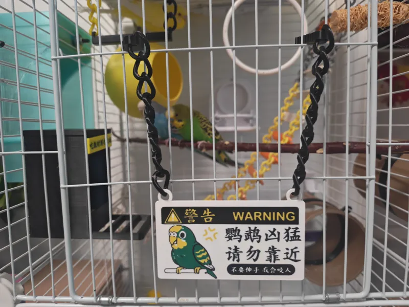 鹦鹉笼警示挂牌（鹦鹉凶猛）
