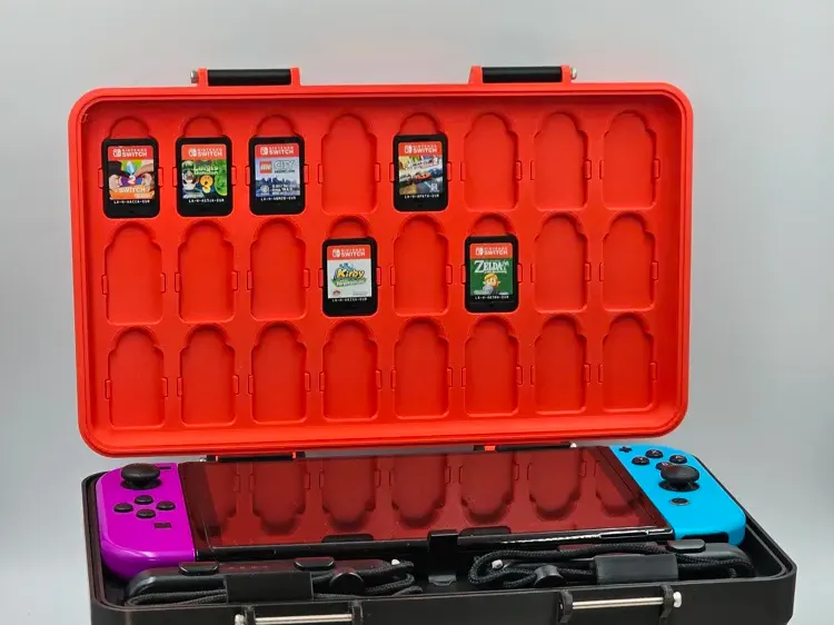 Nintendo switch carry case