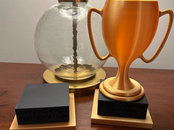 https://makerworld.bblmw.com/makerworld/model/US87dd789d885bff/design/2024-12-27_53033d0c058d3.jpg