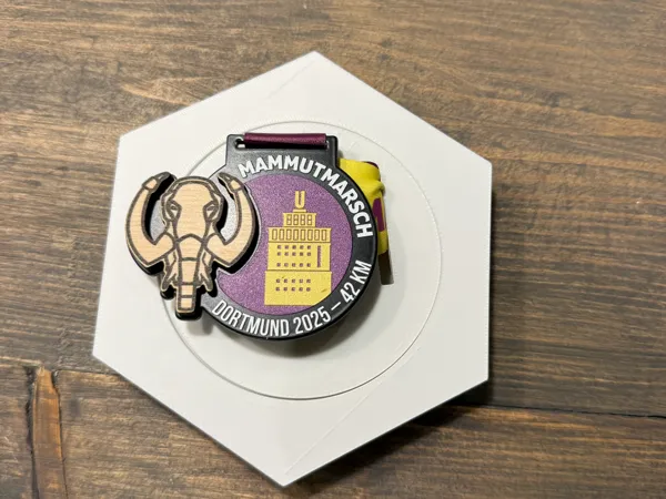 https://makerworld.bblmw.com/makerworld/model/US87e2ae1f59dec9/design/2025-10-13_8e605fe12e6e2.jpg
