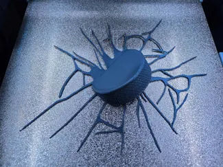 Hockey Puck Wall Shot