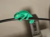 Single Chameleon