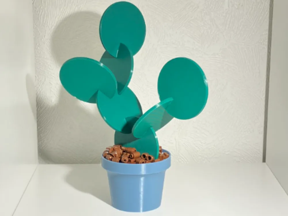 monstera leaves split Split-Leaf Monstera – A Botanical Blessing