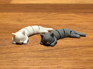Flexi Katze / Gelenkige Katze