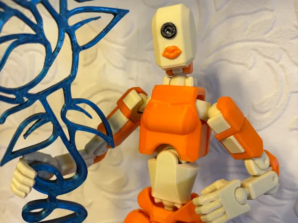 https://makerworld.bblmw.com/makerworld/model/US87ef89f55cfa8b/design/2025-01-14_5ba8f69e6111.jpeg