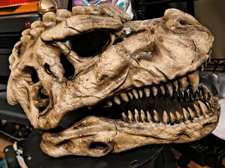 Godzilla Skull