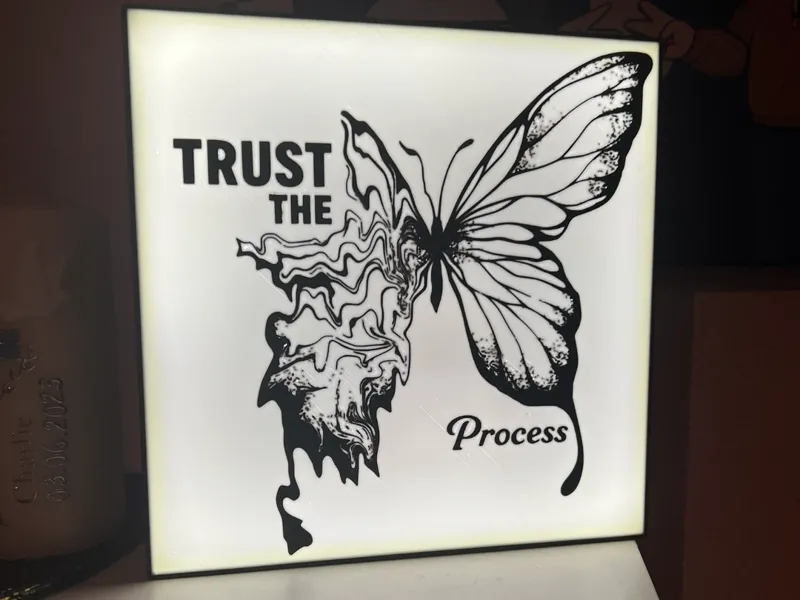 Melting Butterlfy "Trust The Process"
