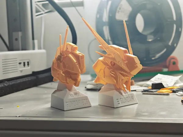 https://makerworld.bblmw.com/makerworld/model/US880078879a36ba/design/43d50a9e-65ac-4306-b5e2-6d221dbe927f.webp