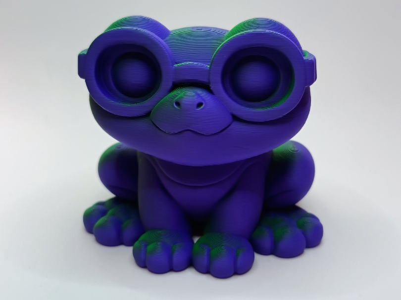 Frosch Nerd der kleine Regenwaldheld