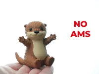 no ams
