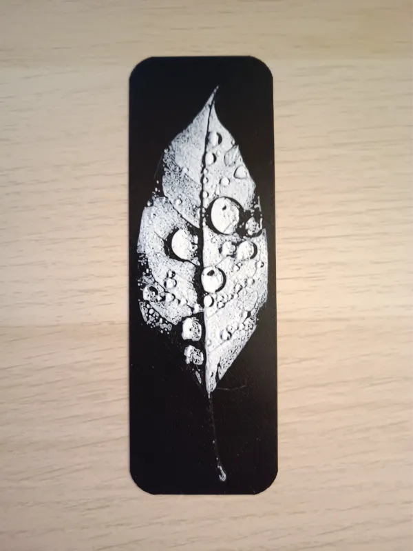 https://makerworld.bblmw.com/makerworld/model/US880ff948b91058/design/2024-12-07_4c5de66a1e9.jpg