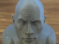 0.12mm layer, 2 walls, 15% infill