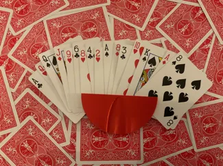 simple card holder