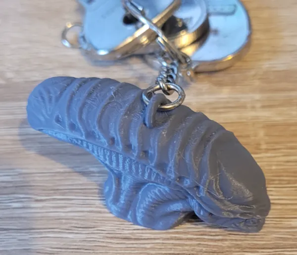 https://makerworld.bblmw.com/makerworld/model/US8811b2ccc29dcc/design/2024-09-17_2cfb1614e41d6.jpg