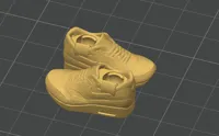 Right And Left Shoes