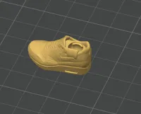 Just Left Shoe