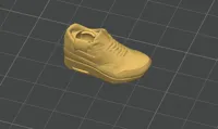Just Right Shoe
