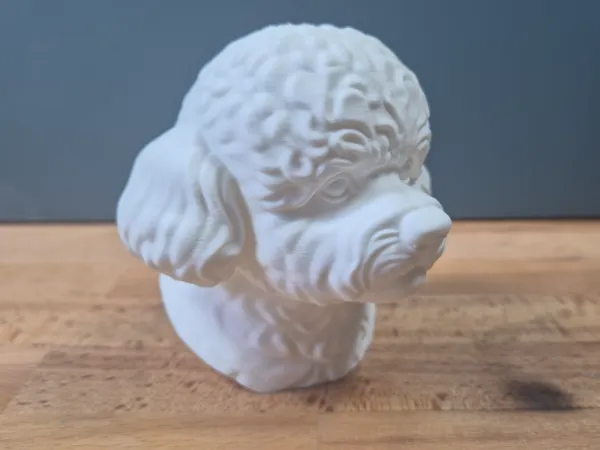 https://makerworld.bblmw.com/makerworld/model/US8819046f9a479c/design/2025-05-20_2468ac589b32a.jpg